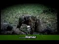 HALA NAMAZ KILMAYACAKMISIN?   (IZLE)
