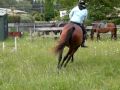 No reins or stirrups