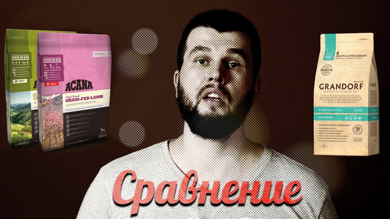 Acana или Grandorf? 🤷🏻♂️ Сравнение сухих кормов для собак 🐶