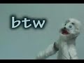 Ask Finney #1 - Old Man Polar Bear Ask Finney #1 - Old Man Polar Bear