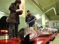 PESCA DE AT�N CON CEBO VIVO EN TARIFA