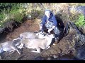 Sitka Alaska Hunting