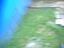 Hurricane Bertha