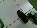 21122009(006).mp4