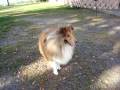 videos de -Hide and seek-