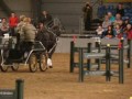Carriage Driving Obstacles Paard en Koets Indoor