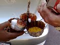 Vahana pooja