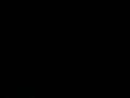 videos de funny shyt