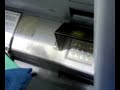 diego-che-preleva-in-banca.html