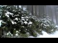 kitzbuhel winter 2010.mp4 - YouTube