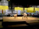 sumo sumo