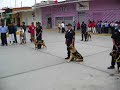 Unidad Canina del Serenazgo de Sullana