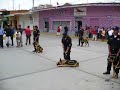 Unidad Canina del Serenazgo de Sullana