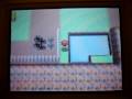 capture de barloche shiney
