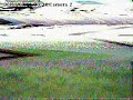 HeliCam 5