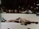Boxing- Muhammad Ali vs. Cleveland Williams_661114