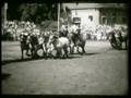 videos de Hengstparade Wickrath 1953