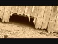 Pets or Food - The Ghost of Wigwam Vomit