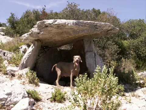 Montée au Dolmen