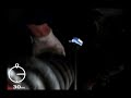 Porsche 928 - 777 Frenzy, Australia Porsche 928 - 777 Frenzy, Australia