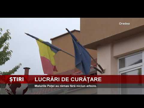 Malurile Peței au rămas fără niciun arbore