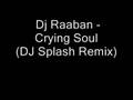 Dj Raaban -Crying Soul (DJ Splash Remix)