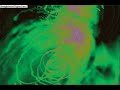 Cypress Hill - Time 2 Get High