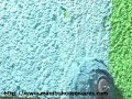 Painting Ease