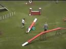 Agility Italia Ind.Large-Papavero VIttorio & MondayHamar2007