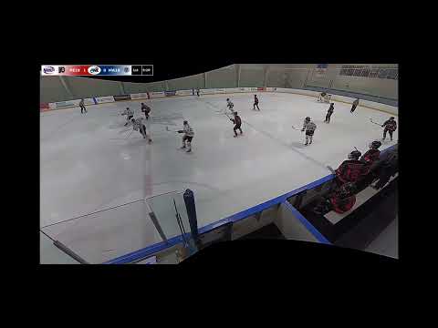 Naphl showcase 3rd goal of weekend