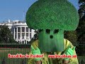 Broccoli Man for President - part 4 Broccoli Man for President - part 4