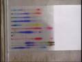 Thin Layer Chromatography of Felt Tipped Pens