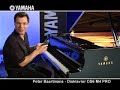 Peter Baartmans and the Yamaha Disklavier DS6 M4 PRO Peter Baartmans and the Yamaha Disklavier DS6 M4 PRO