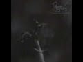 Paragon of Beauty - To my Unfading Sorrow