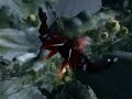 Nogg-aholic the Movie (part 3)