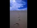Mavis Staples & Lucky Peterson: Precious Lord