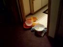 The Neighbors Must Be Swimming