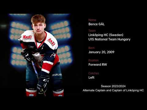 Bence Gál season 2023/2024 (Linköping HC)