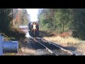 reading and northern excursion pt 2