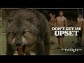 THE TWILIGHT SAGA: NEW MOON TV Spot - Battle