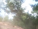 Trail 5 trench