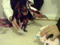 videos de The adventures of mini episode 2 in outer space