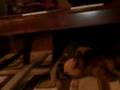 videos de Riley, Puppy Humping Alph