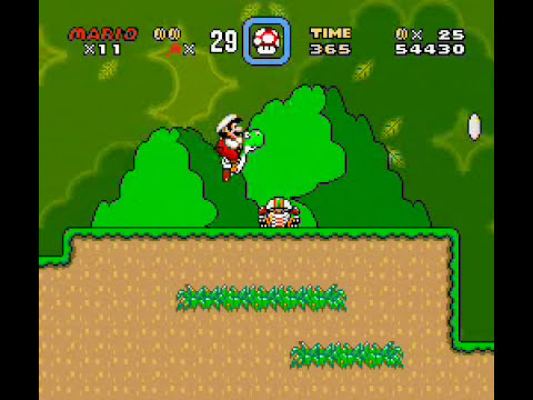 Super Mario World