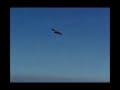 videos de Villagrande Strisaili - Il gipeto in Ogliastra