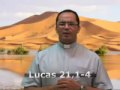 Evangelho do dia 23 de novembro de 2009. [Lucas 21,1-4]