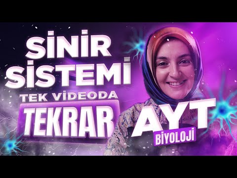 1) Sinir Sistemi FULL TEKRAR + Son 5 Yılın ÖSYM Analizi | AYT Biyoloji YKS 2026