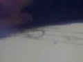 Uchiha Itachi Chibi Weasel Drawing