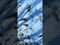 櫛形山・裸山　富士山と南アルプスの眺望を求めて(2024/1/6)#shorts