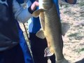 Ver Video